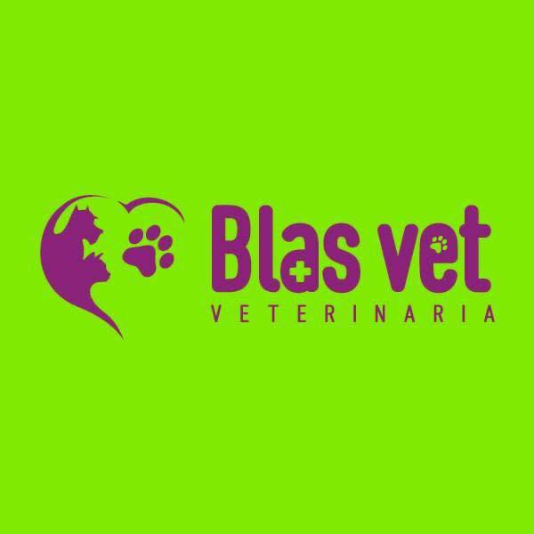 BLAS VET - Promo del mes de agosto para nuestros felinos amigos🐱🐾 ...