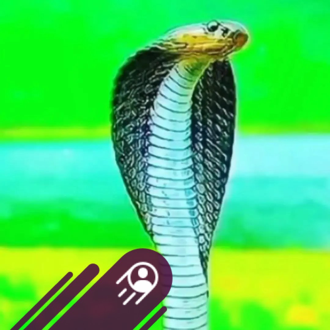 Rana Bharat