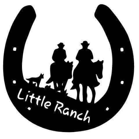 Little Ranch Horse Riding Lessons | Yorklea NSW