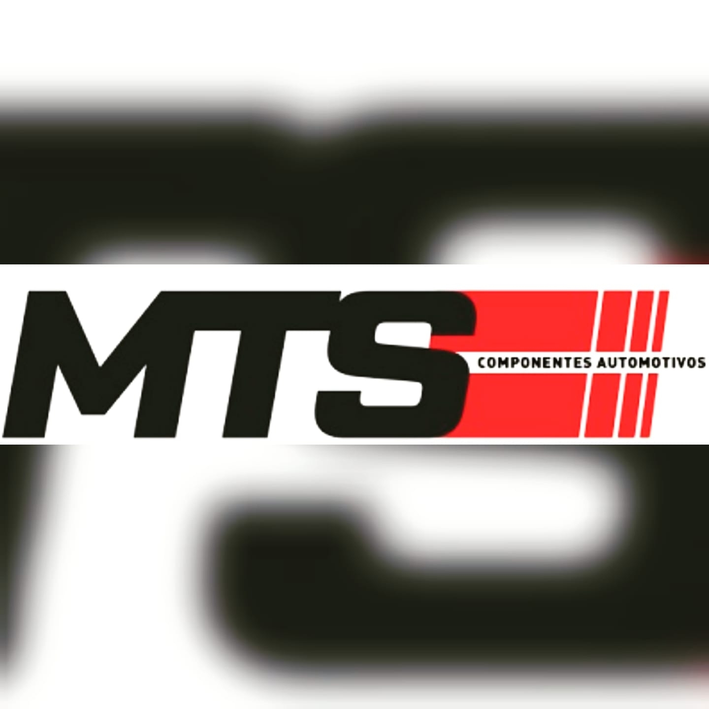MTS Componentes Automotivos | Lages SC