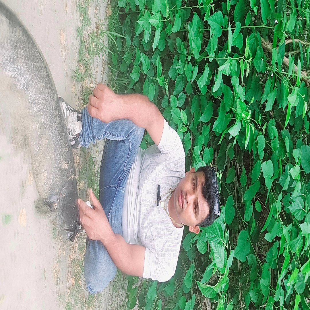 MD Salim
