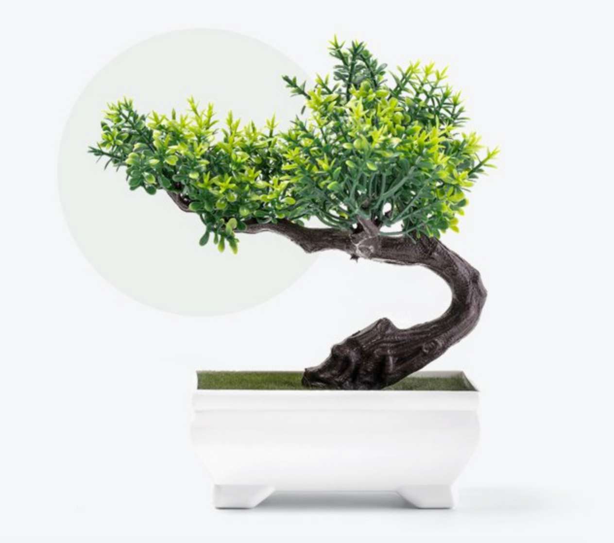 Paudha Ghar - पौधा घर | Greater Noida