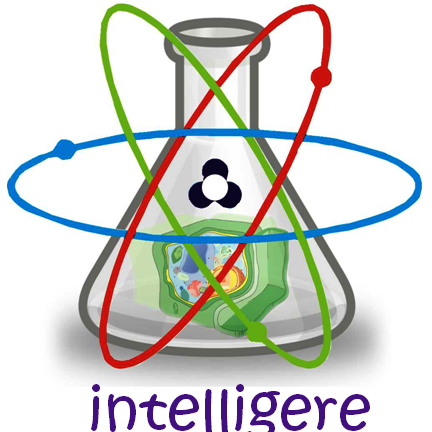 Intelligere