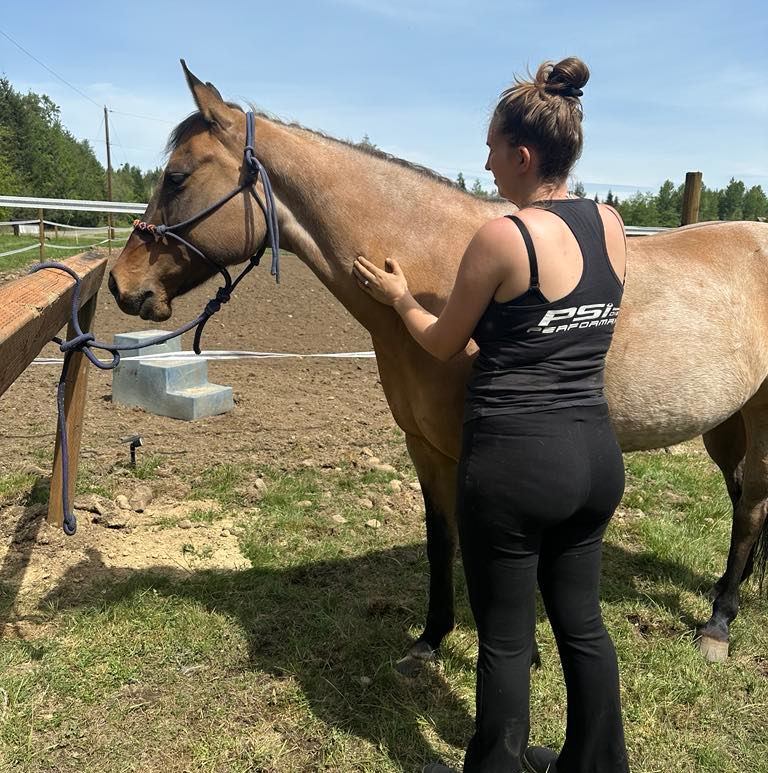 Snika Ranch | Lake Stevens WA