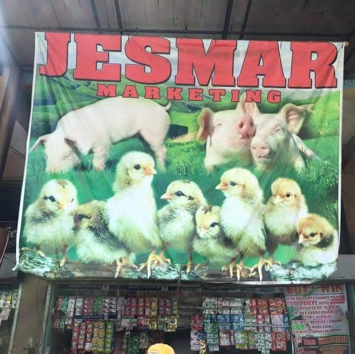 Jesmar Marketing 1 | Bago City