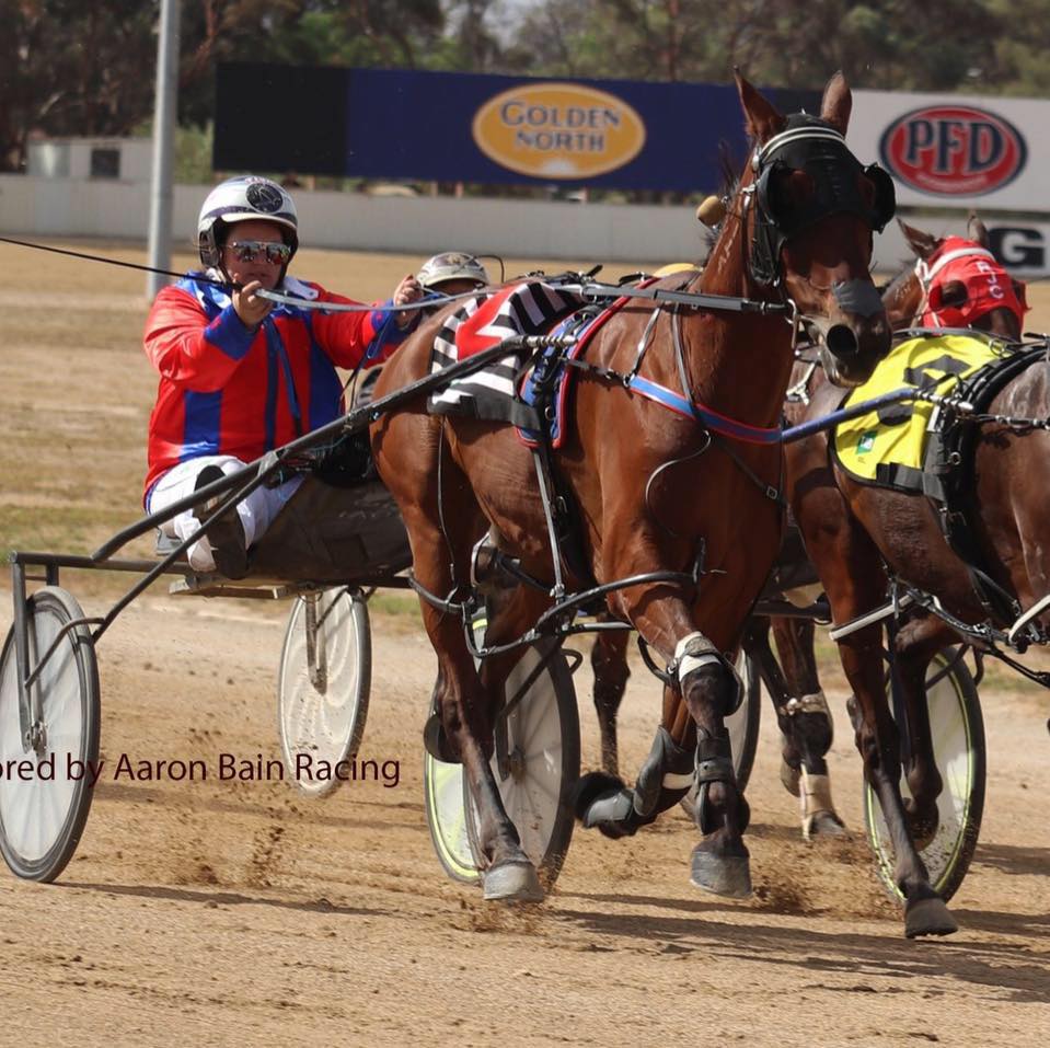RTM Harness Racing Stables