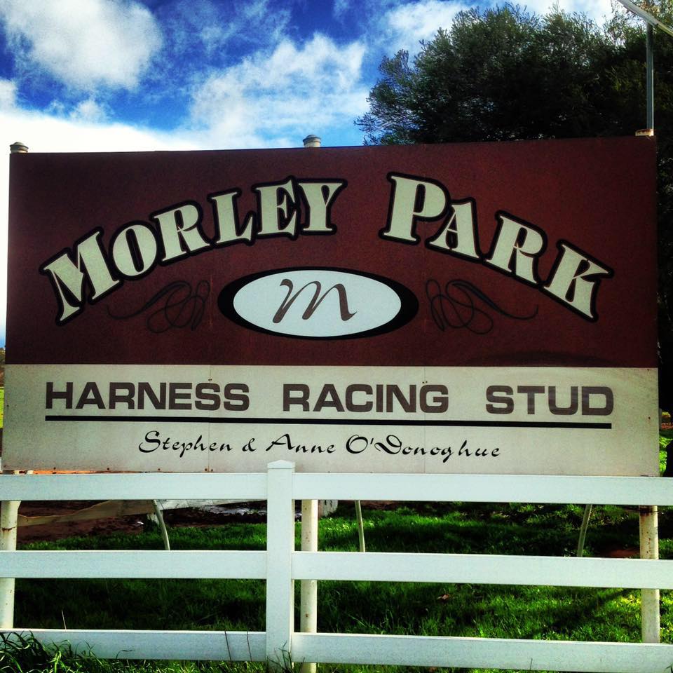 Morley Park Harness Racing Stud | Kialla VIC
