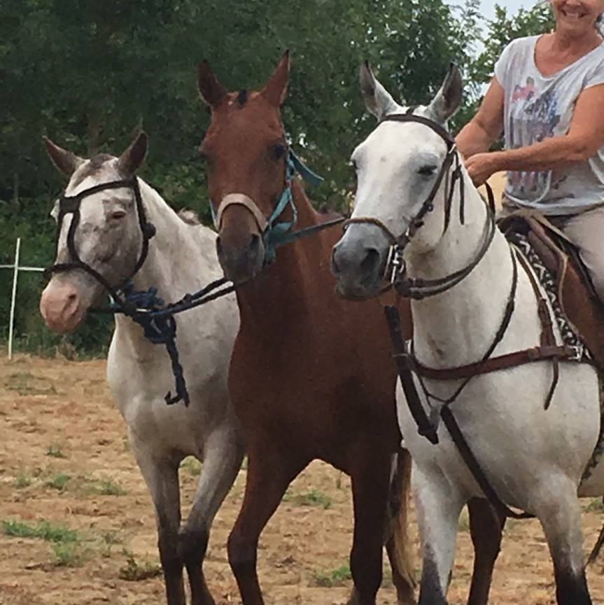 Monter à cheval | Vouvray