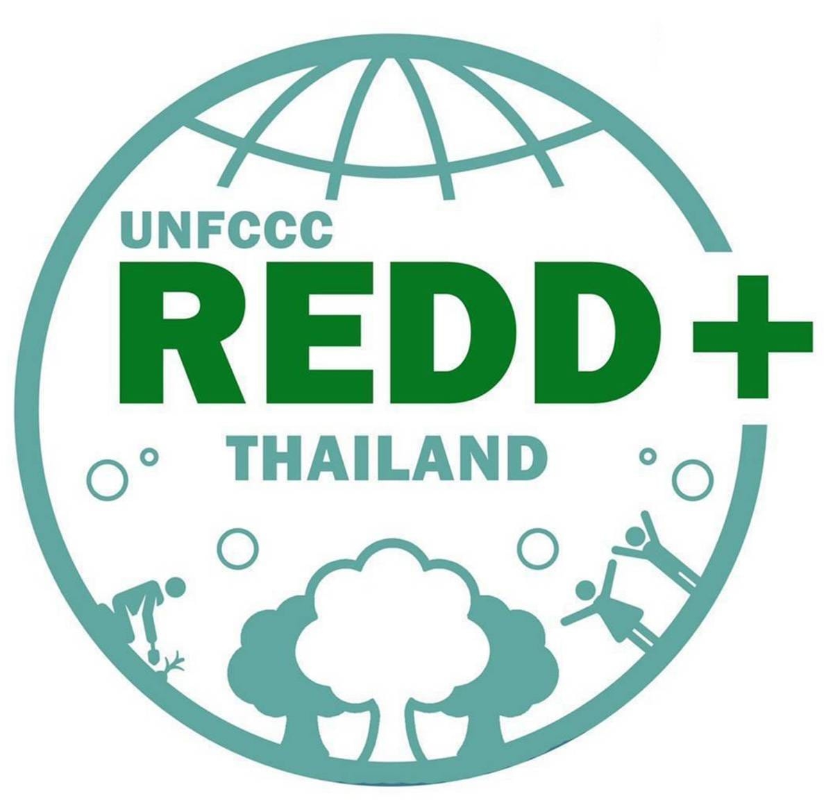 REDD Plus DNP | Bangkok
