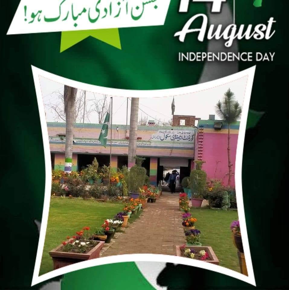 M. Rafay Alam Rajpoot