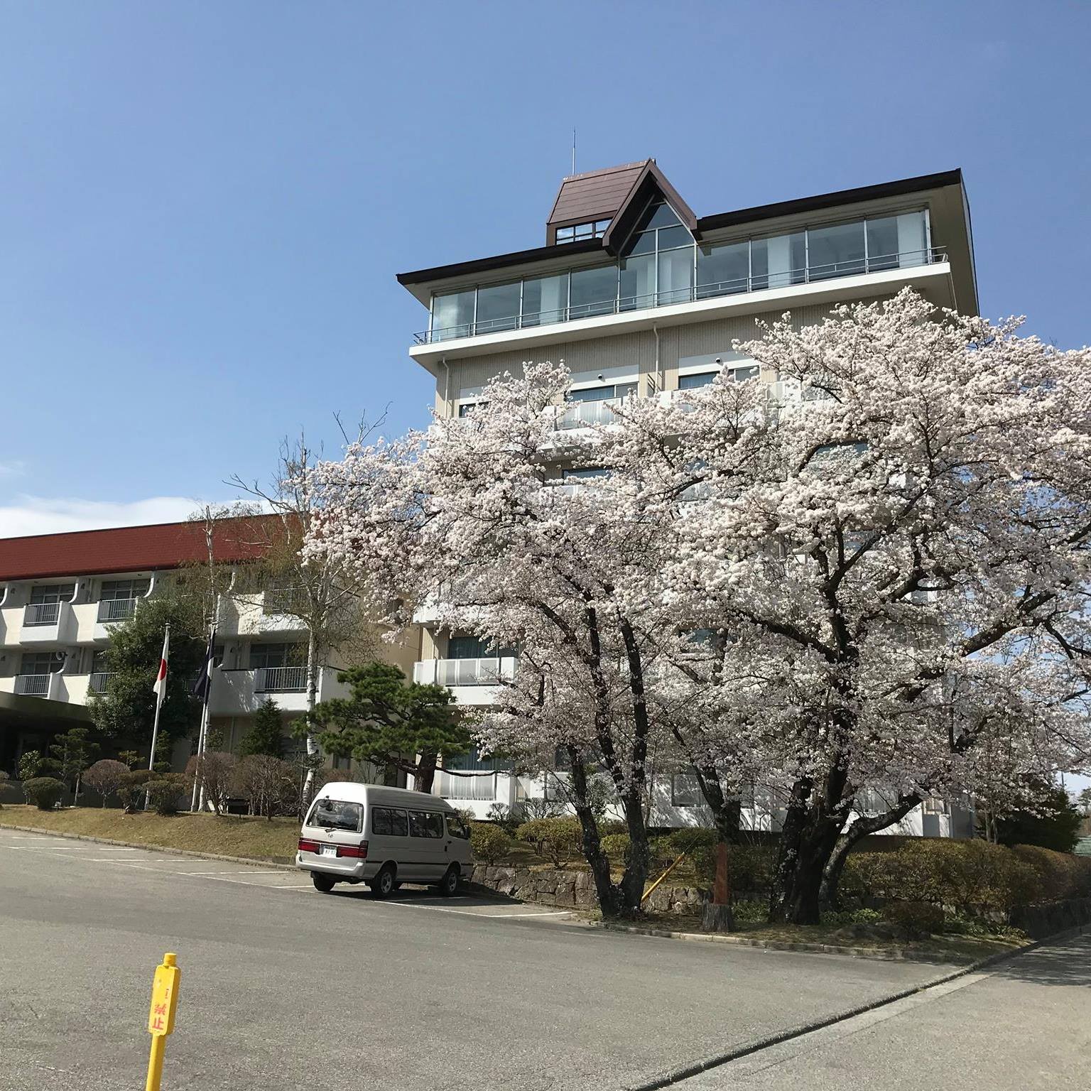 活動歴および当時の関連ビジュアル記録