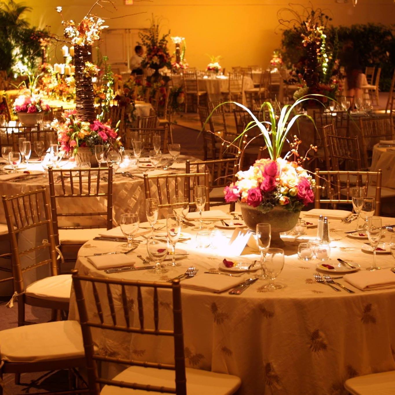 First Class Rentals of Tampa Bay | Lutz FL