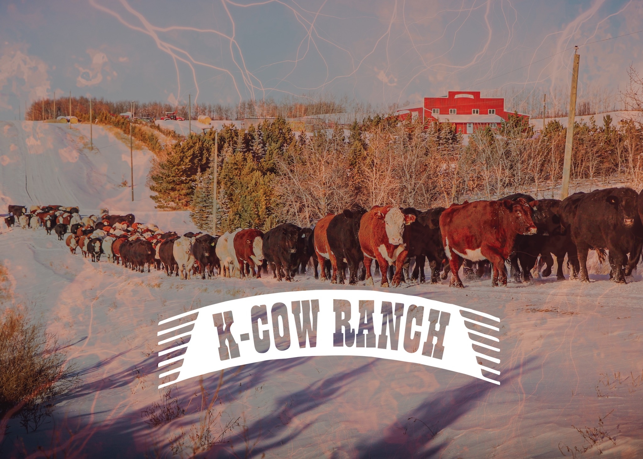 K-Cow Ranch