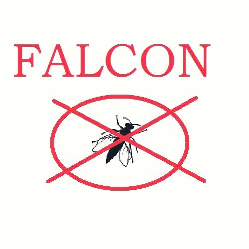 Falcon Insecticida