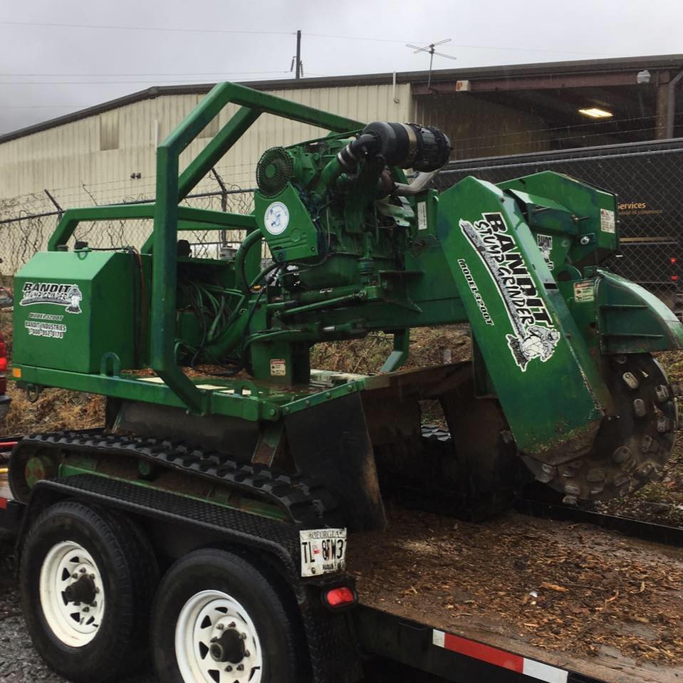 Superior Tree Solutions | Griffin GA
