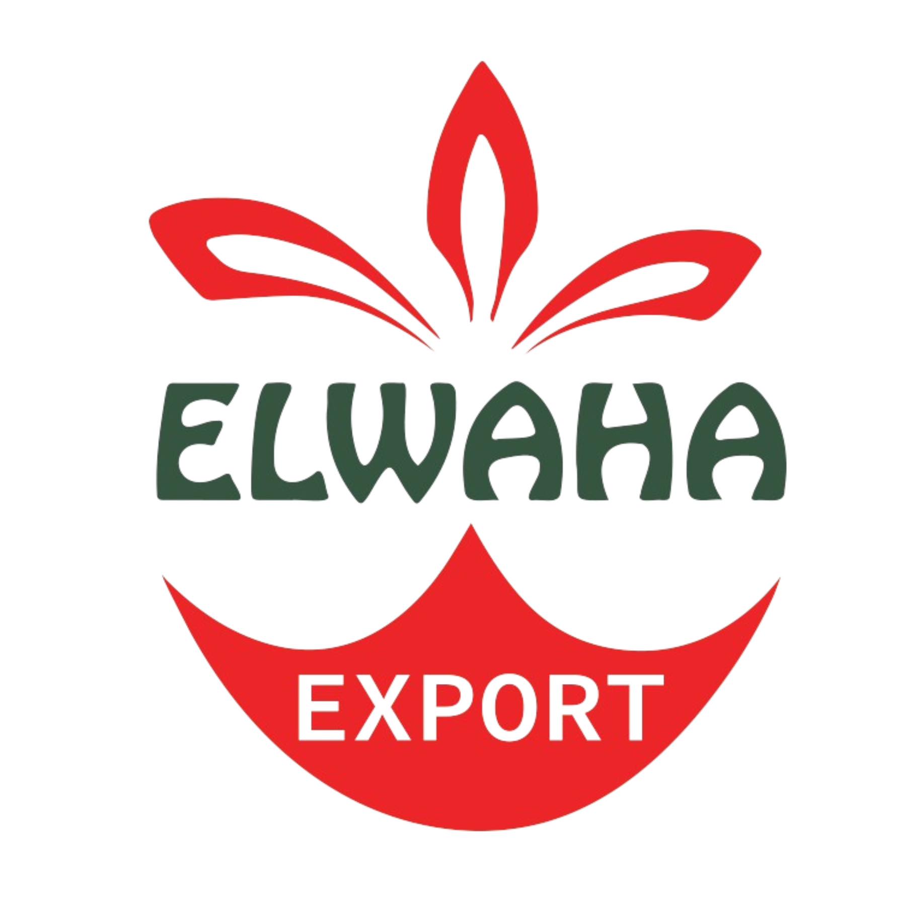 El Waha Export | Giza