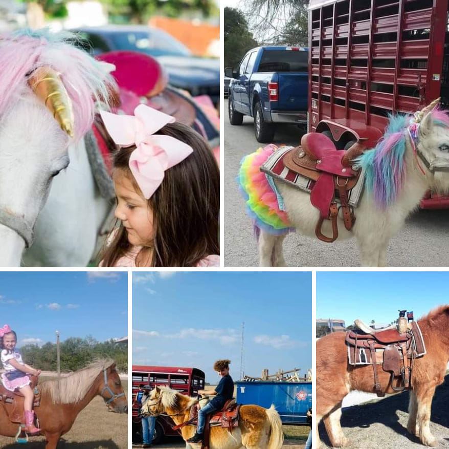 Pony Express Pony Rides | Odem TX