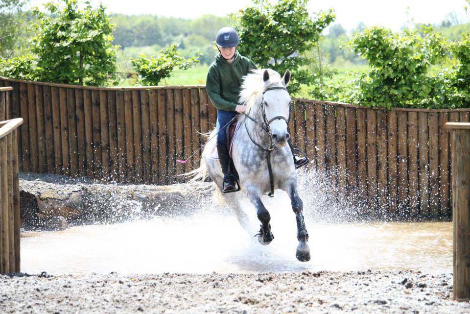 Moy Equestrian Centre | Moy