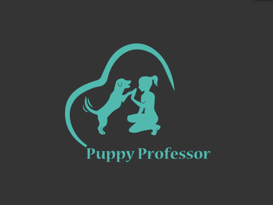 Puppy Professor Training & Behaviour