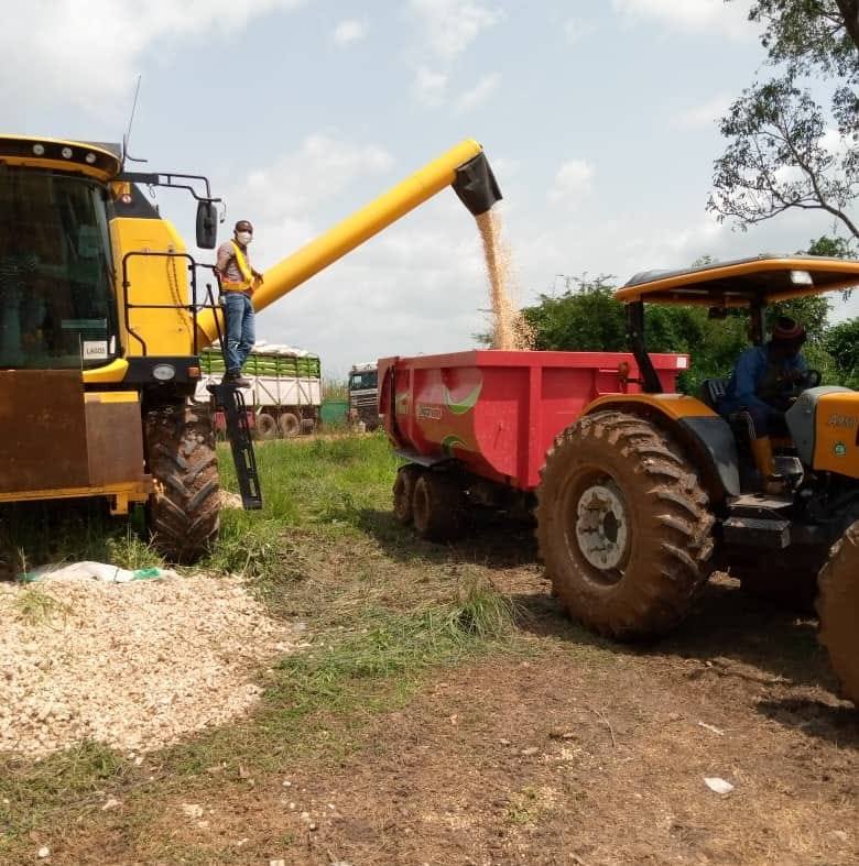 Bushara farms