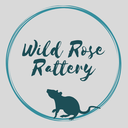 Wild Rose Rattery | Janesville WI