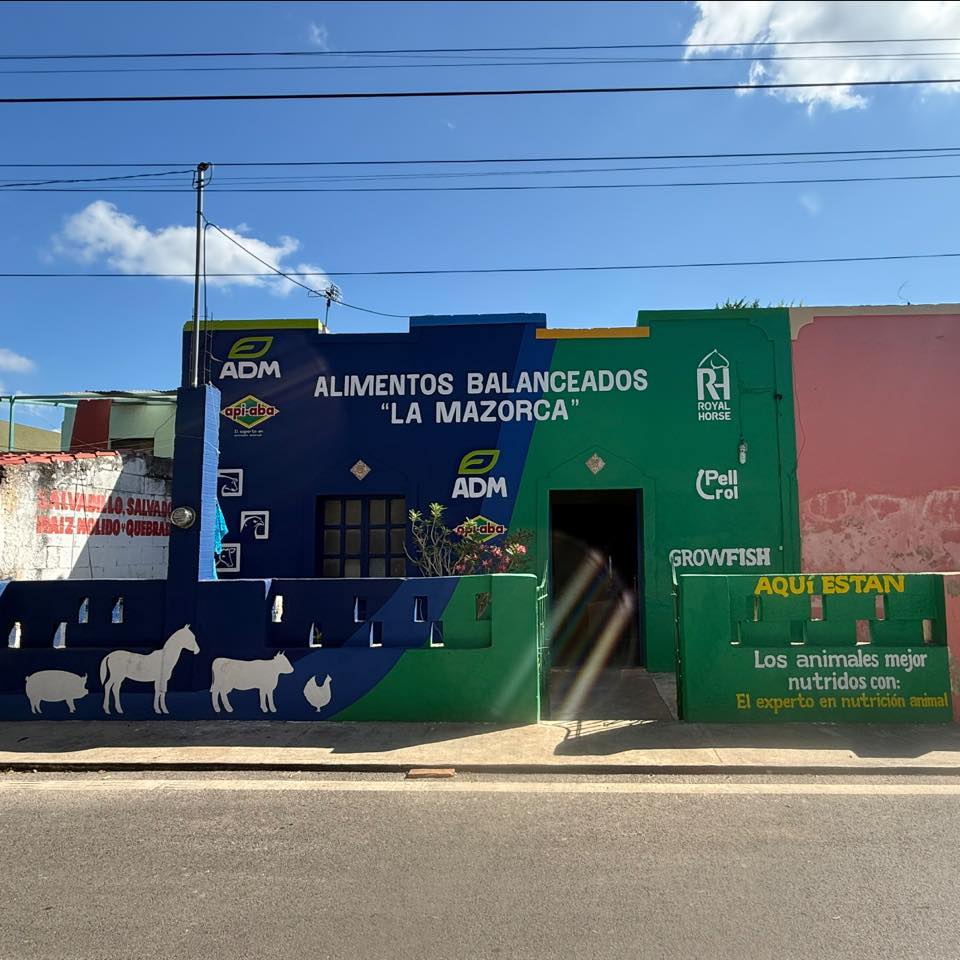 Alimentos Balanceados Api-Aba Muna | Muna