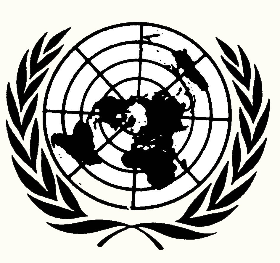 Simunc '11 (Symbiosis International Model UN Conference)