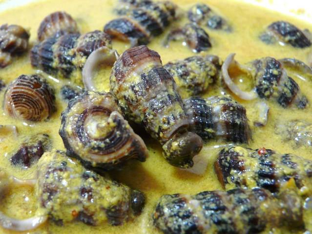 Siput sedut Sg Rambai