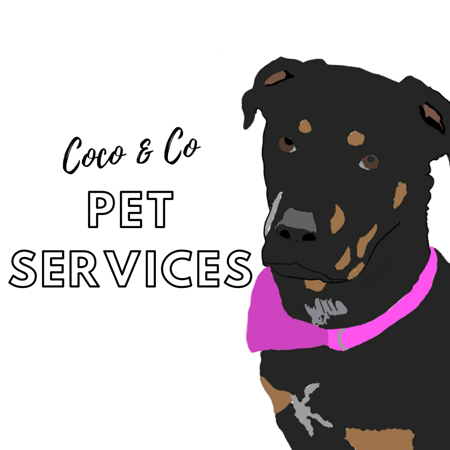 Coco & Co Pet Services | Worcester