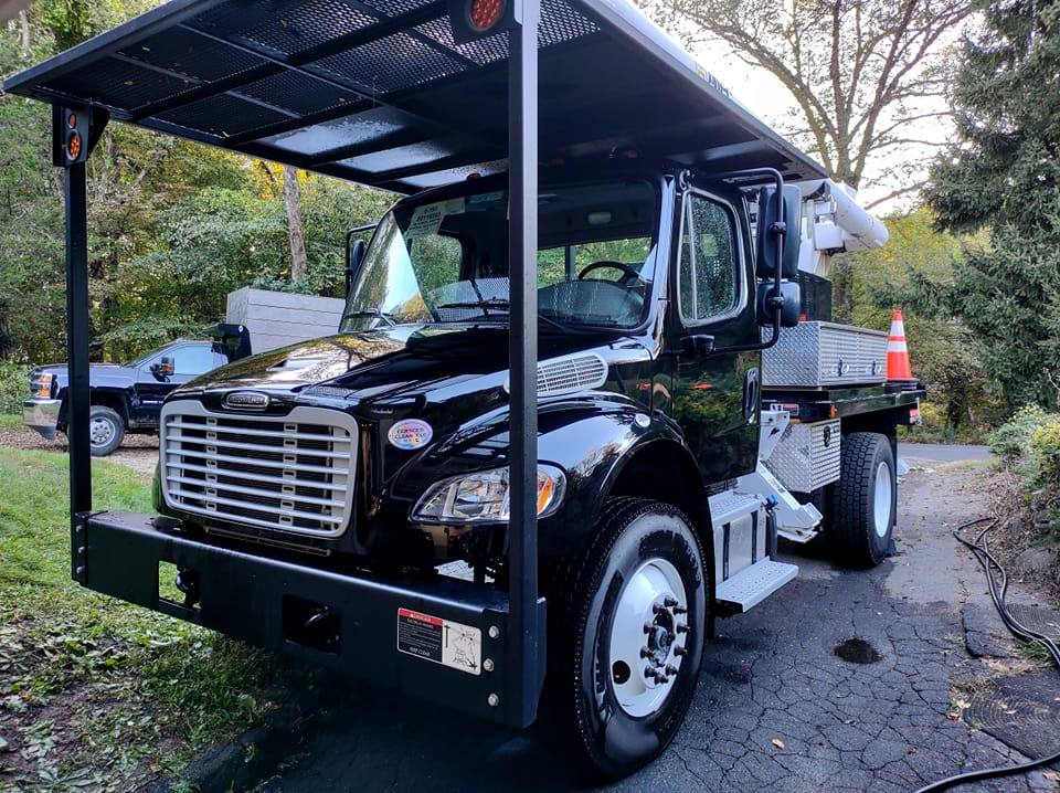 Murphy's Tree Service, LLC | Oxford CT
