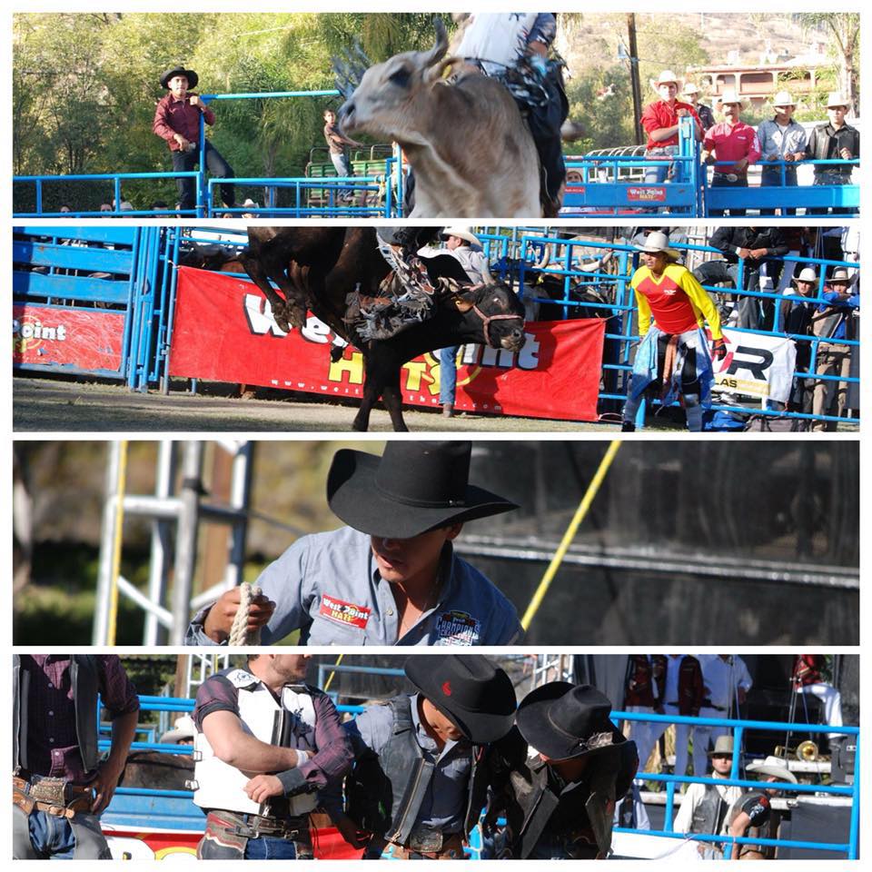Rodeo West Point, West Point Rodeo