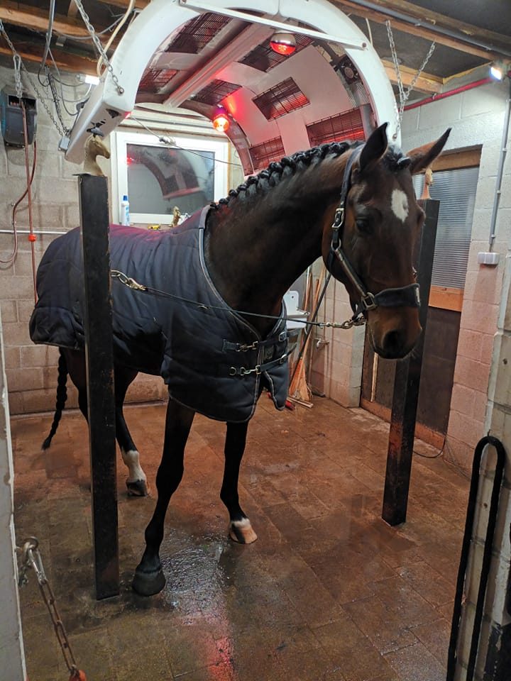 Classic A one Stables