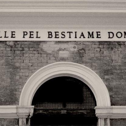 Ex Mattatoio - Roma | Rome