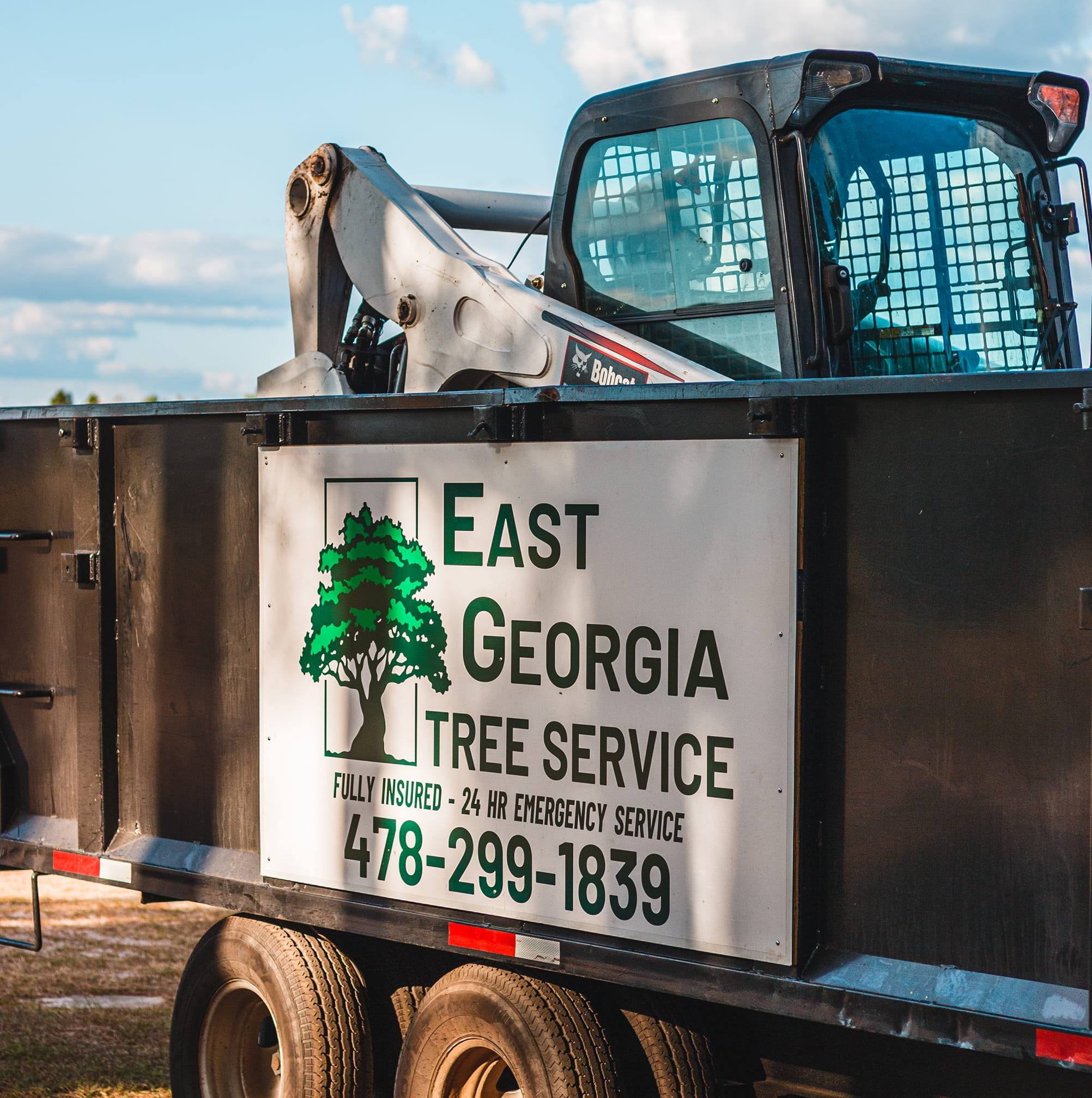 East Georgia Tree Service | Millen GA