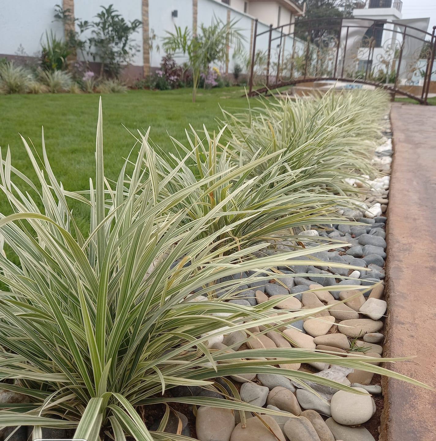 Fresh Grounds Landscapers.... - Fresh Grounds Landscapers.