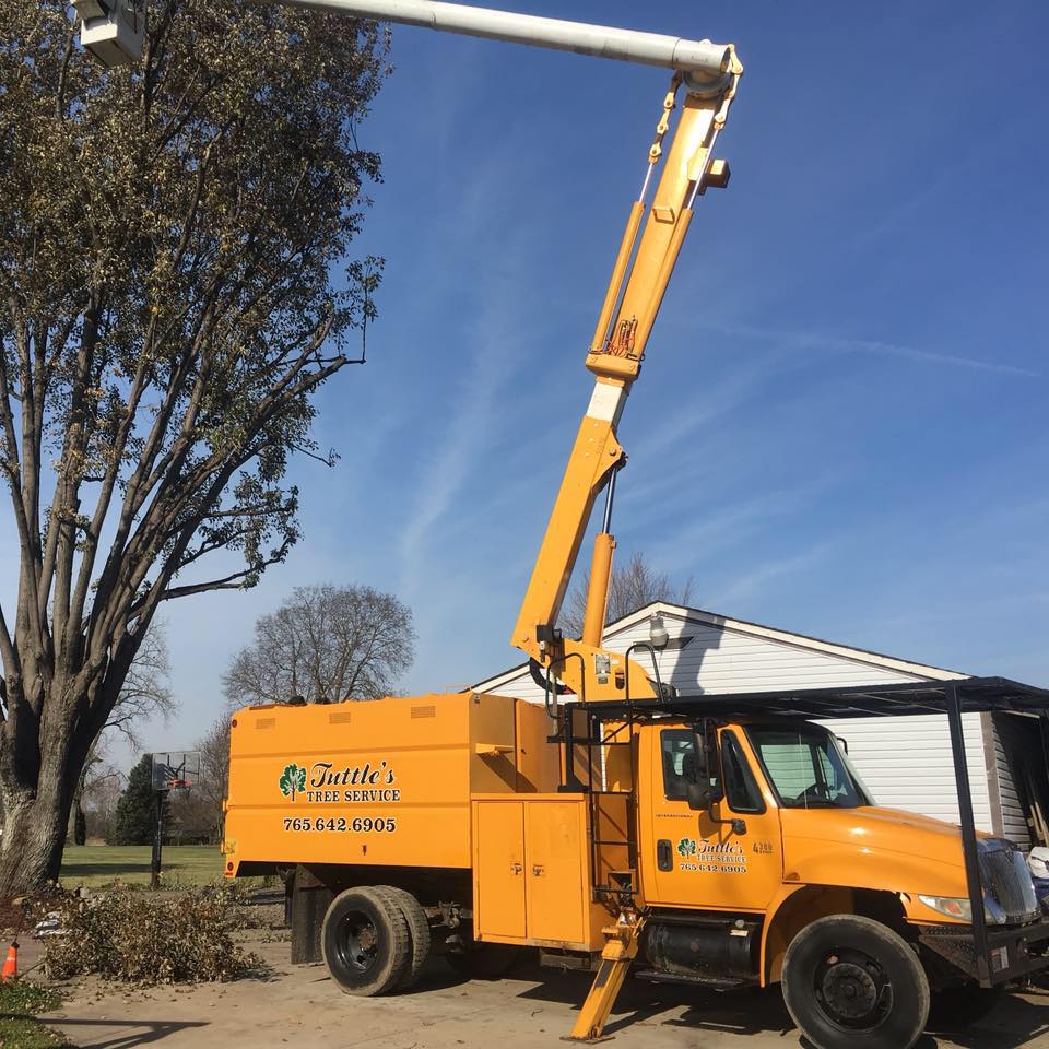 Tuttle's Tree Service & Landscaping