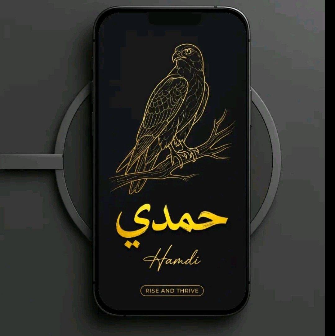 Hamdy Mohamed