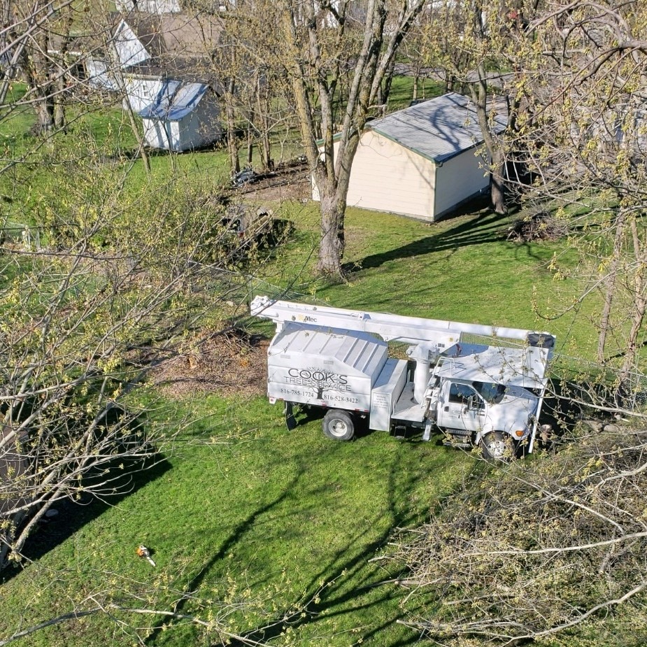 Cooks Tree Service