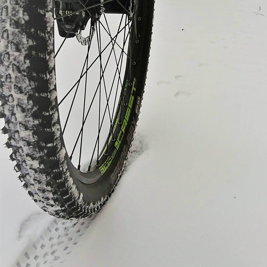 liv aero rennrad Avail AR 1 v2 S Fahrrad 28 Panther, Gebrauchte download-https://cdn.shopify.com/s/files/1/0773/9113/files/Driggs_7_Spec_Sheet.pdf?10353592171190271723 Frame Color:Nude