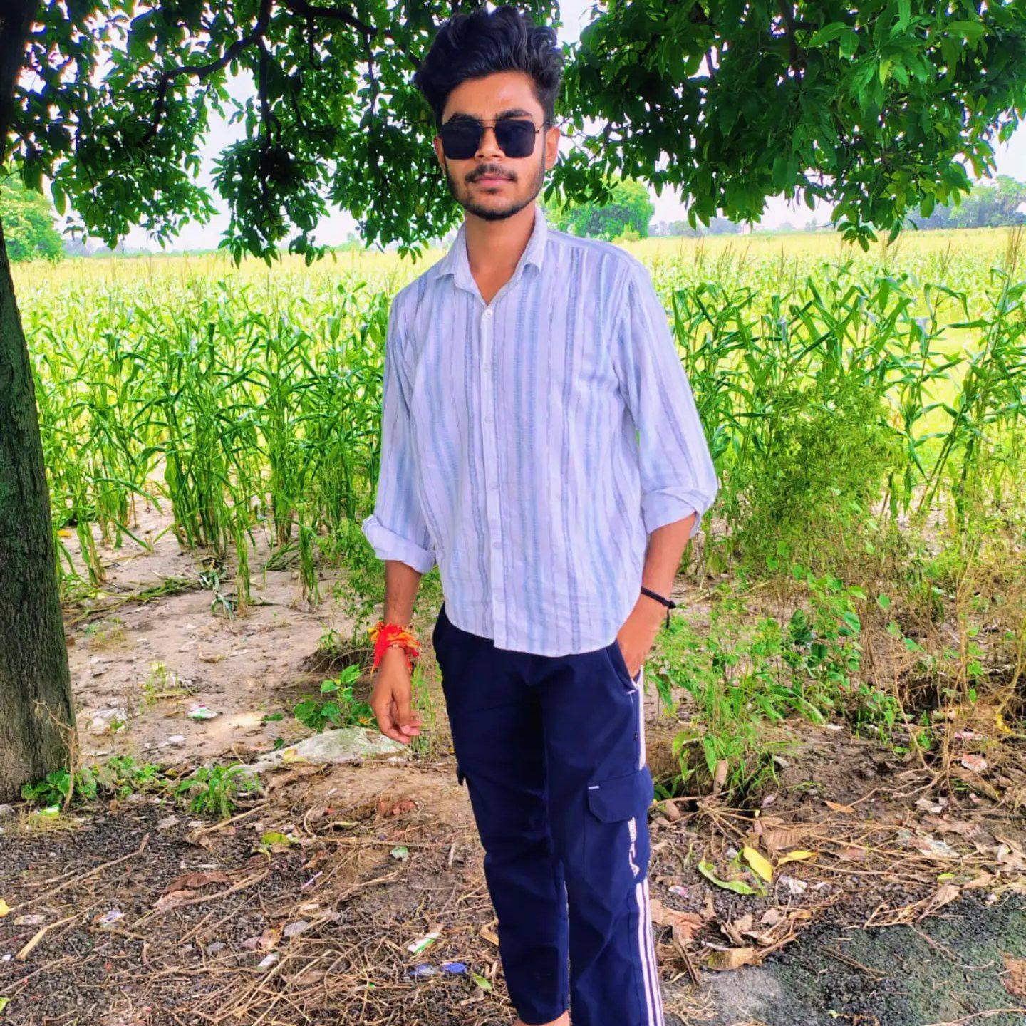 Pranshu Rajput
