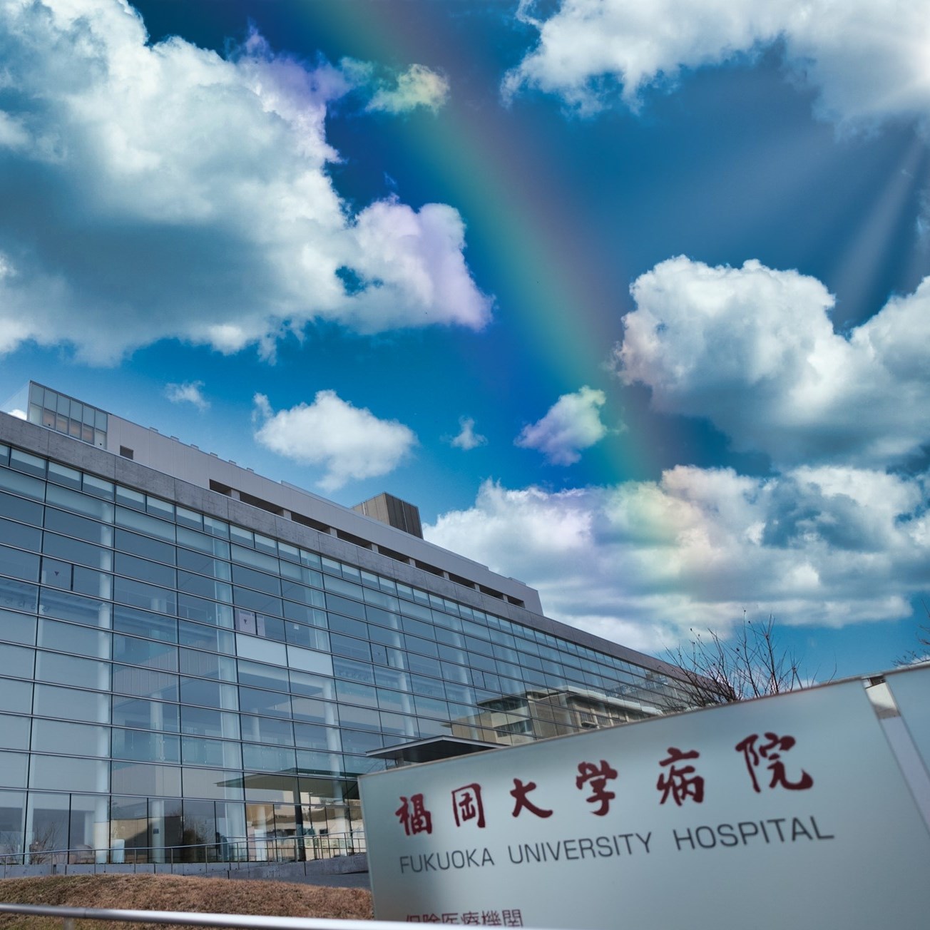福岡 大学 病院