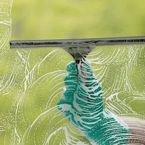 Dempsey Student Window Cleaning