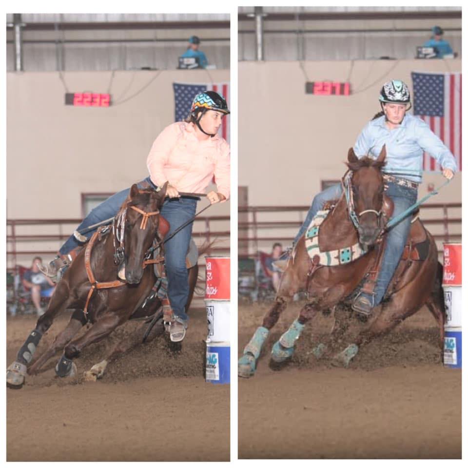 Triple R Performance Horses | Ligonier IN