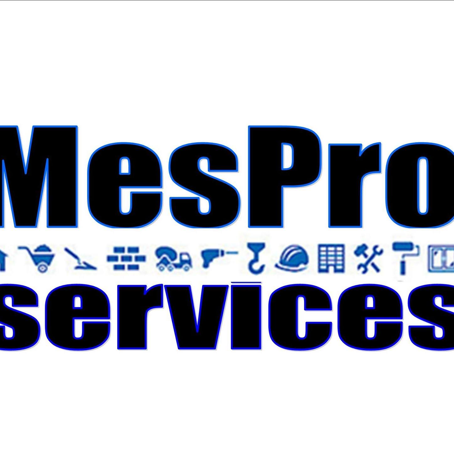 MesPro Services