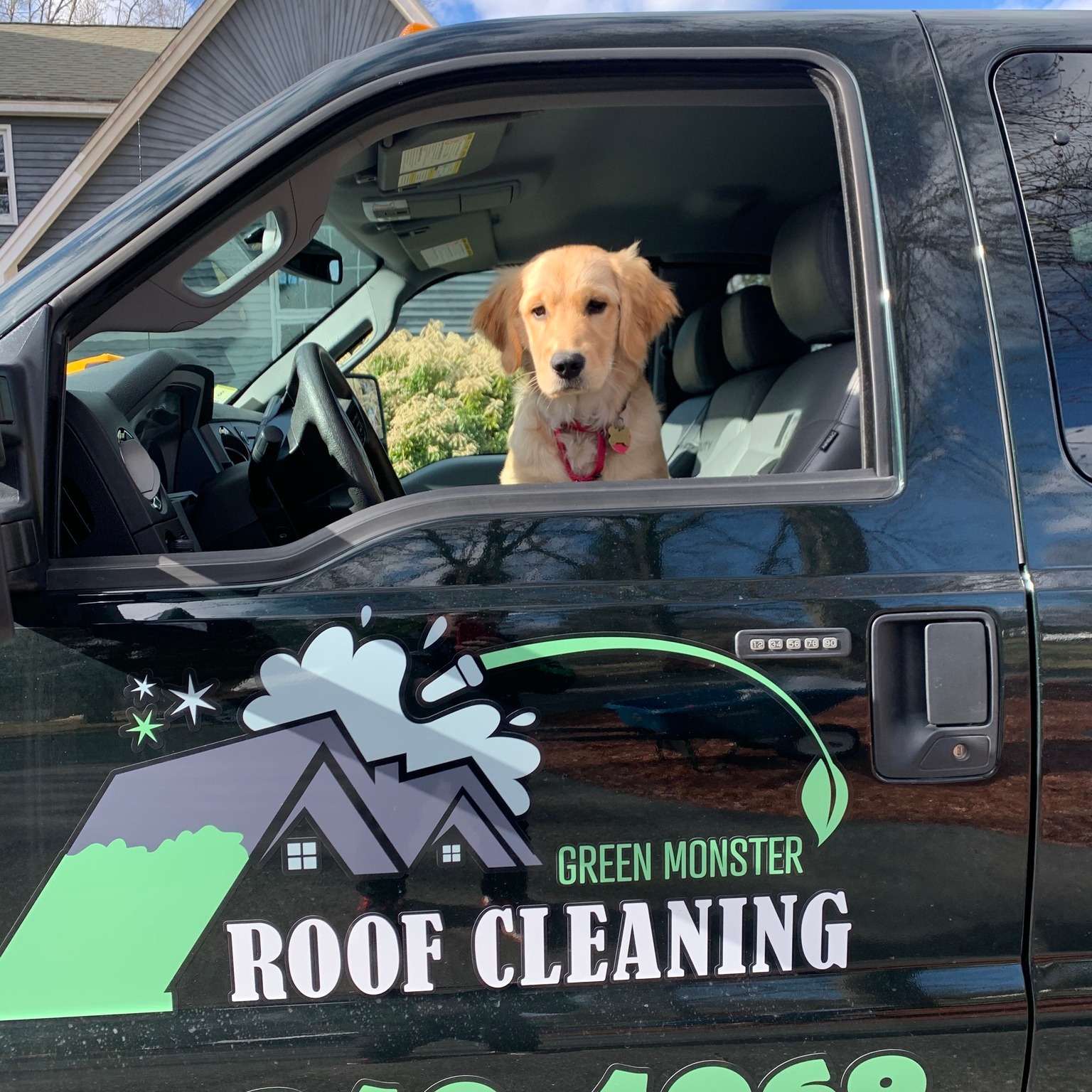 Green Monster Roof Cleaning... - Green Monster Roof Cleaning