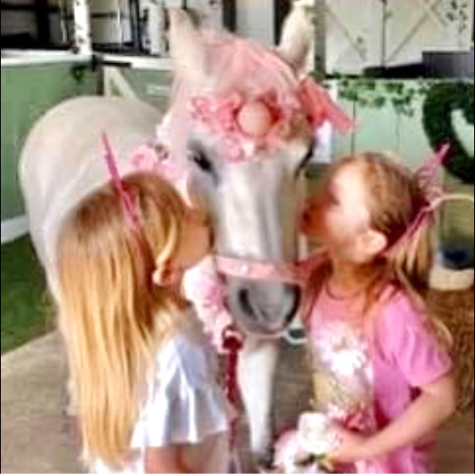 The Pink, Ponies & Ponytails Ranch | Billingham