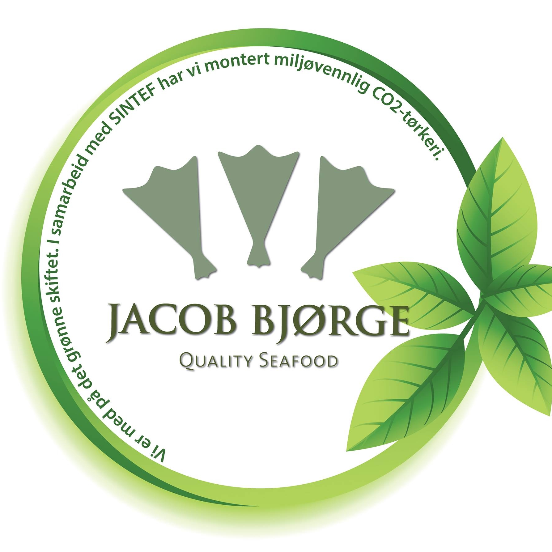 Jacob Bjørge As | Aalesund