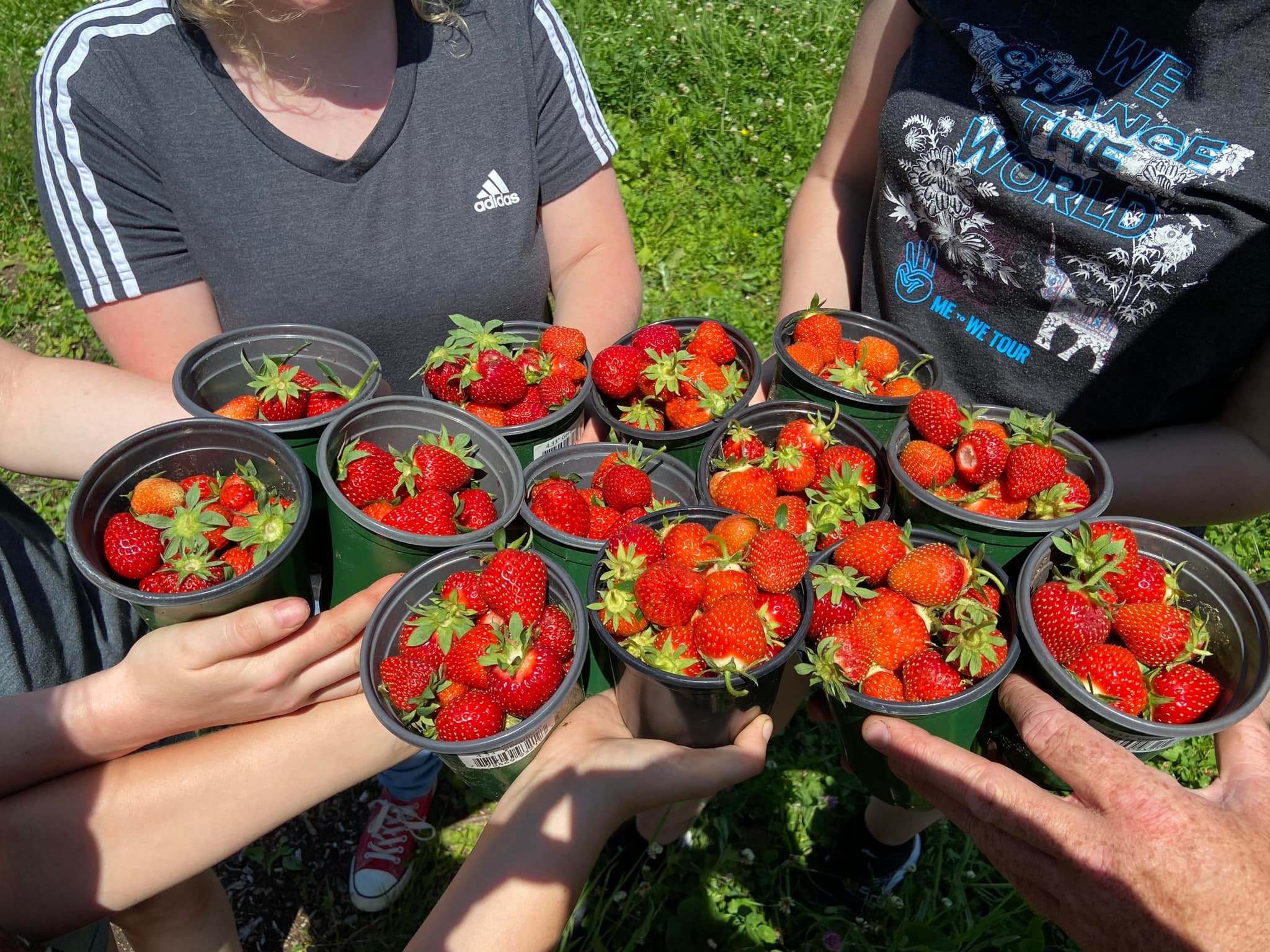 Strattons Farm | Annapolis NS