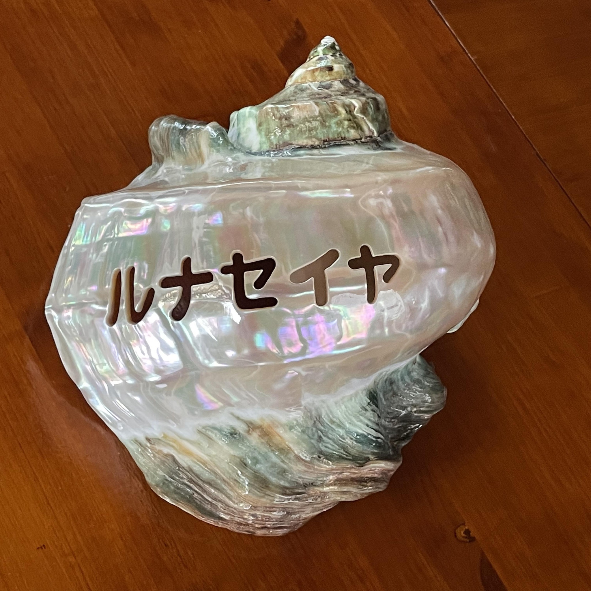 ルナセイヤ | Amami-shi Kagoshima