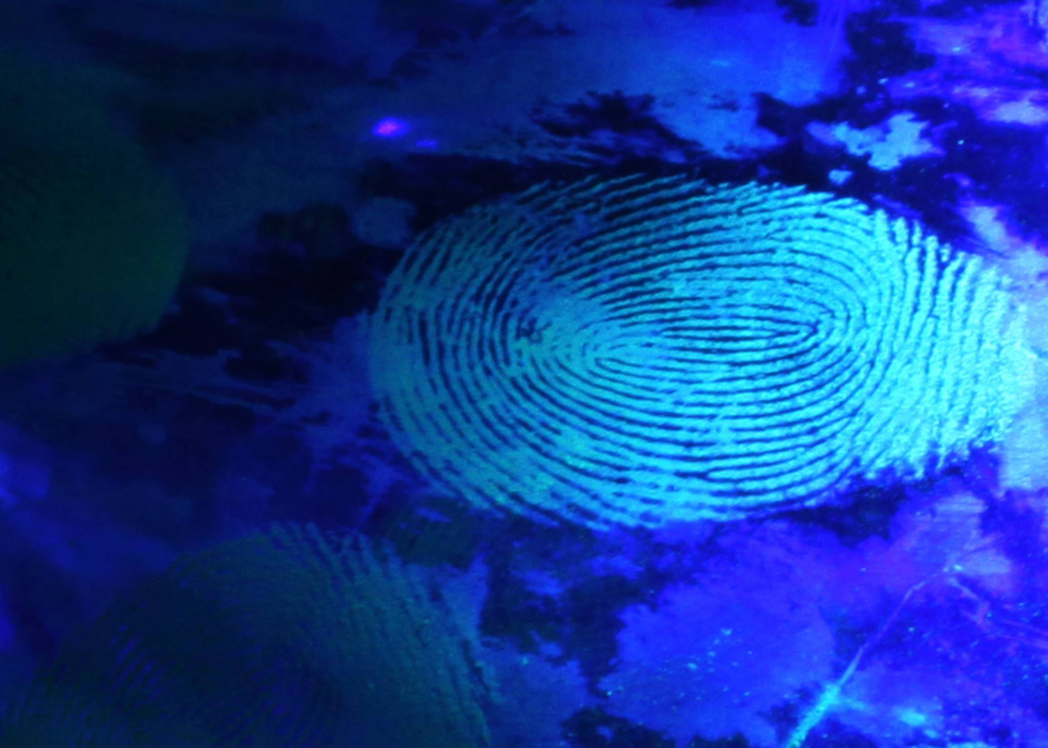 Forensic and Investigative Sciences Program at Texas A&M University ...
